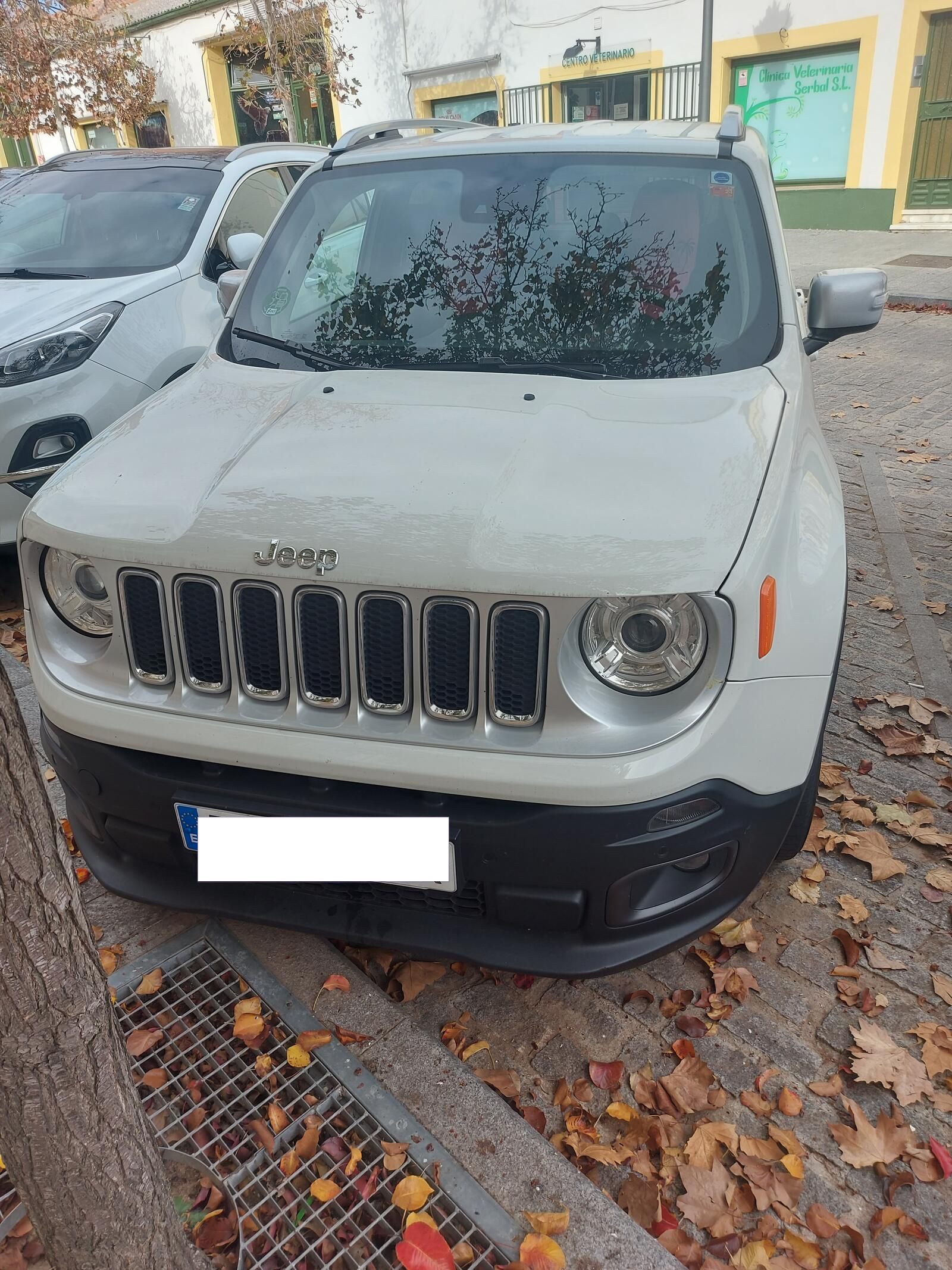 Array Jeep Renegade 2018 Diésel por 17.660€ en Madrid